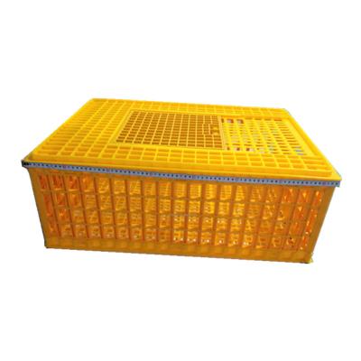 China Large Size 96*56*27 Mm Birds Transport Boxes Widely Used Chicken Crates / Plastic Chicken Transport Crates for sale