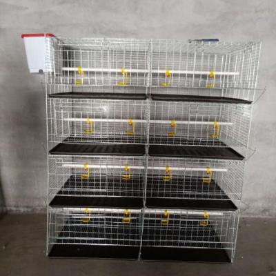 China Durable 320 Capacity Chick Cage Breeding Cage Bird Cage for sale