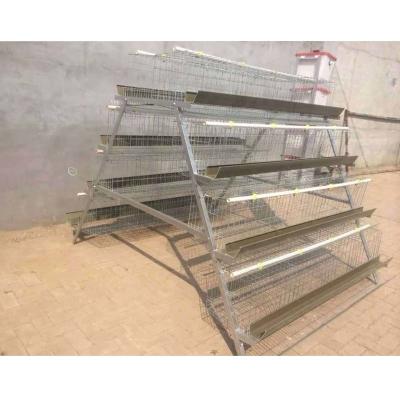 China Durable 128 Capacity Chicken Cages Egg Layer Wire Bird Cage Galvanized Wire for sale