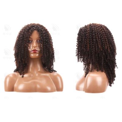 China MARS EXPO Straight Announced Afro Brazilian Natural Curly Curly Wig Virgin Hair for sale