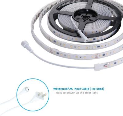 China Theater/club/shopping mall/exhibition/bar/dance hall/museum theater/hospital/club/mall/exhibition/bar neon light/dance hall/museum/hospital led strip lights led waterproof rgb led strip light for sale