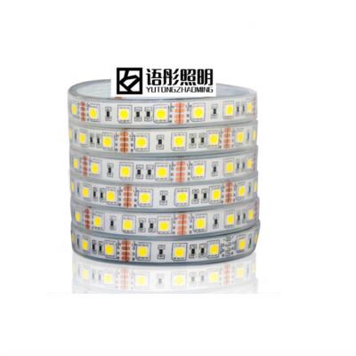 China Garden led strip light silicone tube waterproof ip68 SMD5050 12v 24v for sale