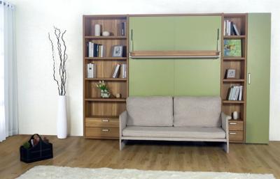 China Double Vertical Modern Wall Bed Bedroom Furniture with Bookshelf and Sofa for sale