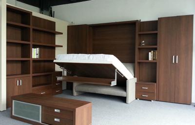 China Modern Double Folding Wall Bed With Bookshelf And Sofa,HIdden Mechanism for sale