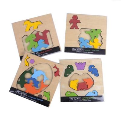 China Educational Toy Hot Selling Educational Wooden Colorful IQ Puzzle Jigsaw Intelligence Game Kids Toys for sale