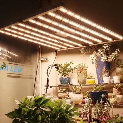 China Seed Starting Led Plant Foldable Light Samsung LM281B IP65 Grade 0-10V Dimmable For Indoor Greenhouse Plants Full Spectrum 800W Led For Growing Light for sale