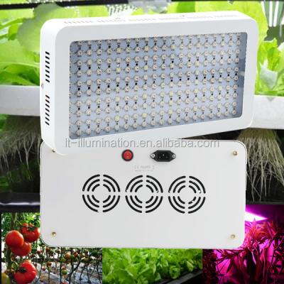 China Full Spectrum FLOWER Plant Light For Indoor Plants Veg And Flower 600W LED Plant Grow Light for sale