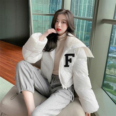 China Breathable Drop Shipping Women's 2021 Patchwork Lambskin Collar Women's Coat Anorak Winter Coat for sale