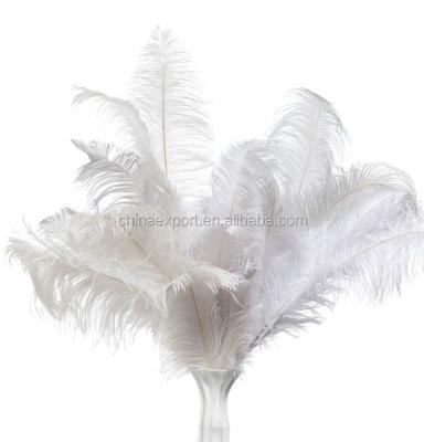 China Wedding Large Decorative White Ostrich Feather For Wedding For Sale for sale