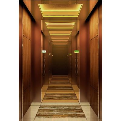 China Factory Customization Home Villa Elevator Install Outdoor Indoor Lift zu verkaufen