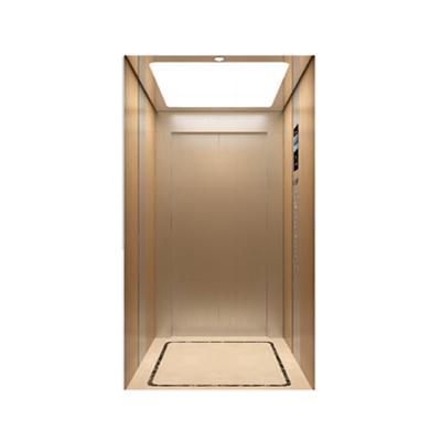 中国 Low Price Private Residential Lift Elevator Mini House Lift Vertical Traction Home Villa Elevator For Passenger 販売のため