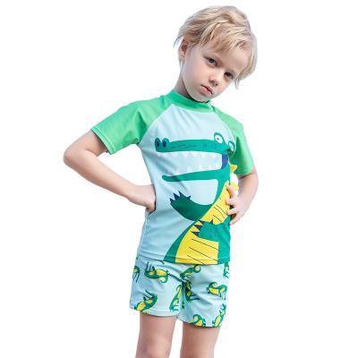 China Breathable Comfortable And Fashionable Fabric Toddler Swimsuit Boys With Green Crocodile Cartoon for sale