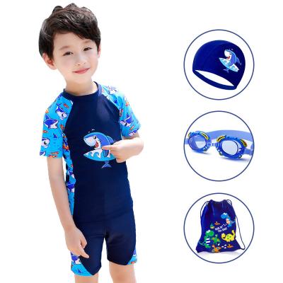 China Various Designer Breathable Blue Shark Cartoon Little Boy Swimsuit for sale