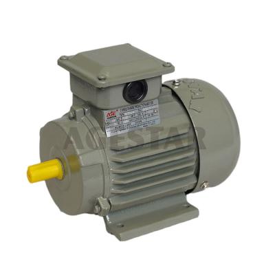 China China Y2 801-4 Cast Iron 0.75HP Totally Sealed Three Phase Asynchronous AC Electric Motor Price for sale