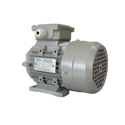 China Totally Enclosed High Quality MS Series Three Phase Aluminum Shell Motor for sale