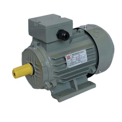 China Totally Sealed Y2 802-2 1.1kw 1.5hp AC Electric Motor Small Price for sale