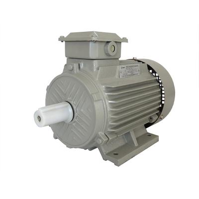 China Factory Y2 Series Totally Enclosed Three Phase AC Induction Fuan Company Agestar Electric Motor for sale