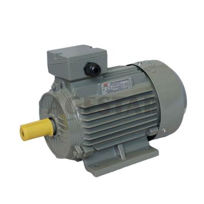 China China Y2 Boat 4hp Totally Enclosed Cast Iron 3 Phase Asynchronous Electric Motor for sale