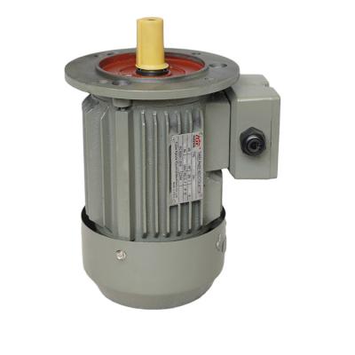 China Y2 Series Totally Enclosed High Quality Manufacturer Three Phase Motors for sale