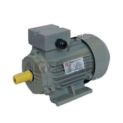 China China AGESTAR Y2 Series Totally Enclosed Three Phase Asynchronous Electric Motor for sale