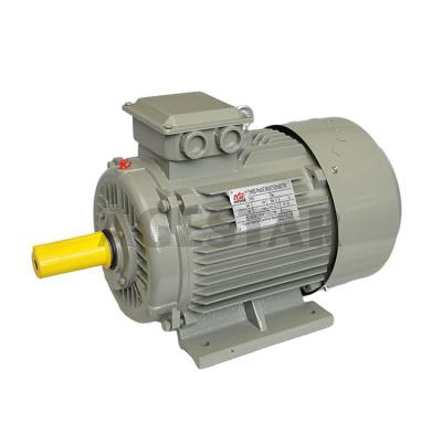 China China AGESTAR 380v 20HP Totally Enclosed Cast Iron 3 Phase Asynchronous Electric Motors for sale