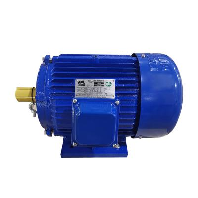 China Totally Enclosed Asynchronous Cast Iron Housing 5.5HP 4KW Three Phase Electric Motor for sale