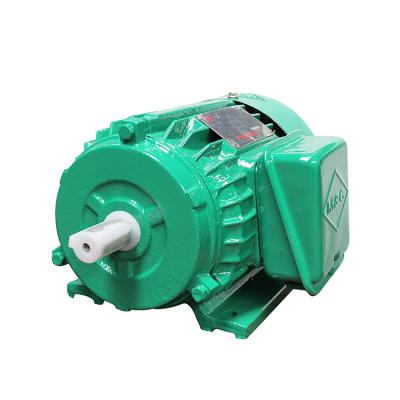 China Totally Enclosed Y Series Y132S-4 3 Phase Asynchronous Electric Motor For Mixer for sale