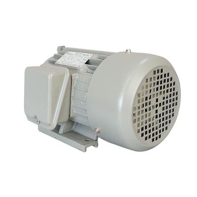 China Competitive Price Cheap Asynchronous Cast Iron Totally Enclosed 3 Hp Ac Electric Motor for sale