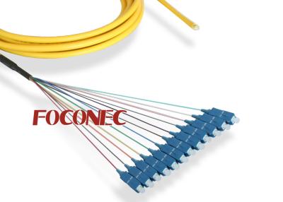 China Multi Fiber Optic Patch Cord , SC Singlemode 12 Fiber Trunk Pigtail for sale