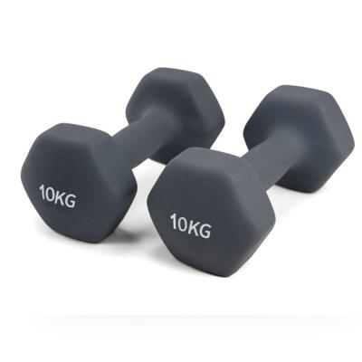 China Home\Gym\Gym Equipment Dumbbell Vinyl Sports Performance Around Matte Vinyl Dumbbell for sale