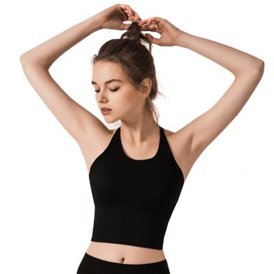 China Breathable High Elastic Sports Bra Workout Fitness Gym Seamless Crop Top Sweat Absorption Sports Yoga Bra for sale