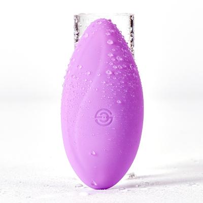 China 2 Hours Vibrating Clitoris Massager Multi-speed Stimulation G-spot Vibrator For Women Body Safe Silicone, Rechargeable, Quiet for sale