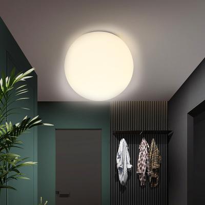 China Outdoor Mounted Drop Shipping Modern Milk White LED Glass Ball Ceiling Light Lamp For Dining Room Bedroom Bedside Lamp Home Light for sale