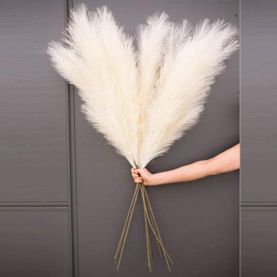 China Wedding Decoration KCPG-041 Hot Selling Colorful Artificial Pampas Grass For Decoration for sale