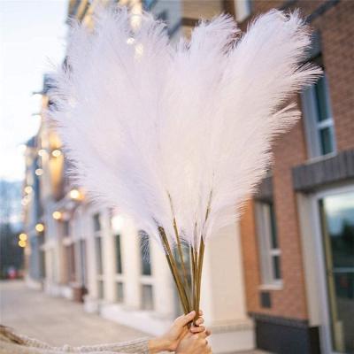 China Hot Eco-friendly Large Size INS Artificial Pampas Grass For Wedding Home Decoration for sale