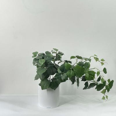 China Festival Party Home Decoration Artificial Bonsai Plants At Cheap Price Artificial Plants With Pots for sale