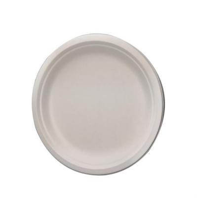 China Disposable Disposable Sugarcane Bagasse Hot Sale Dishes Cutlery for sale