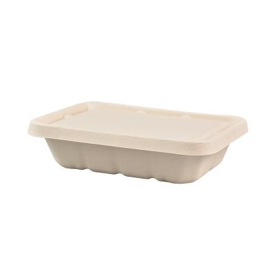 China Good Quality Disposable Bagasse Container Disposable Sugar Cane Tableware Takeout Food Container for sale