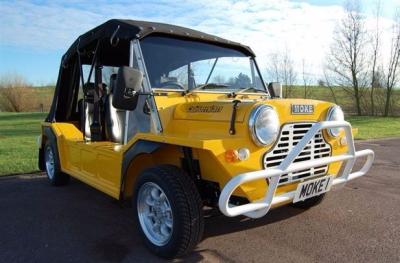 China Mini Moke Convertible Mini moke car island car for sale MOKE for sale