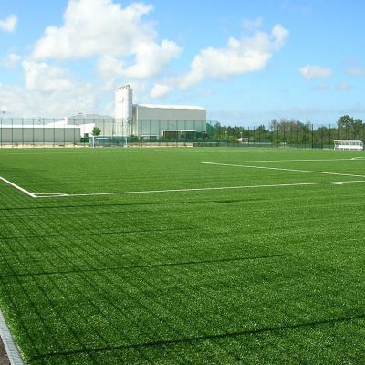 China High Quality Futsal/Soccer/Mini Football Avanturf UV Defender 8 Years Warranty 360 Micron 50mm Portable Artificial Grass For Soccer Turf for sale