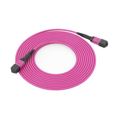 China 1 Meter 12 Cores OM4 MPO Fiber Optic Patch Cord FTTB Low Insertion Loss For Data Center for sale