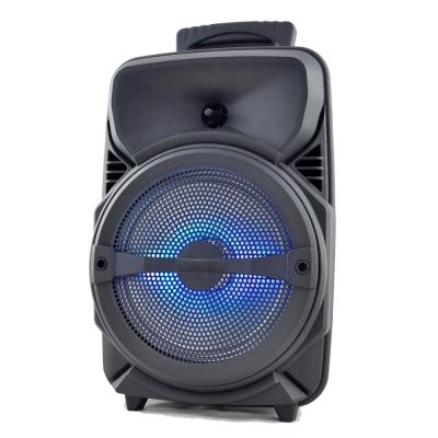 China Audmic wireless portable loudspeaker karaoke speaker bluetooth party outdoor speaker for sale