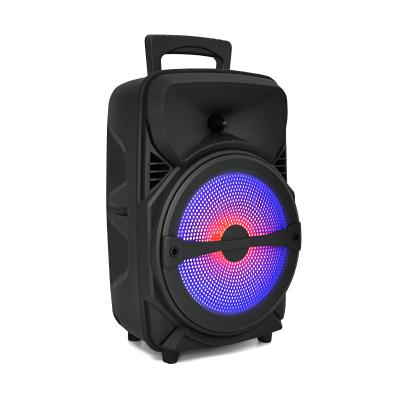 China Manufacturer Portable Wireless Bluetooth Wireless Outdoor DJ Bass Party Karaoke Trolley Speaker Subwoofer Big Powered 8 inch for sale