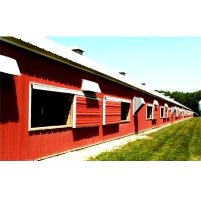 China Steel Structure Warehouse Prefabricated Steel Structure Building Material Broiler House Chicken House for sale