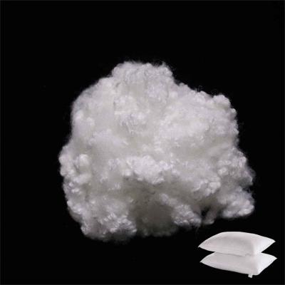 China Hollow Fiber Fill Siliconized Recycled Polyester Staple Fiber For Pillows Filling for sale