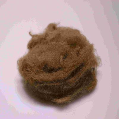 Chine Eco-friendly 4080 Polyester Fibres d'accouplement Marron Confortable Polyester courte fibre à vendre