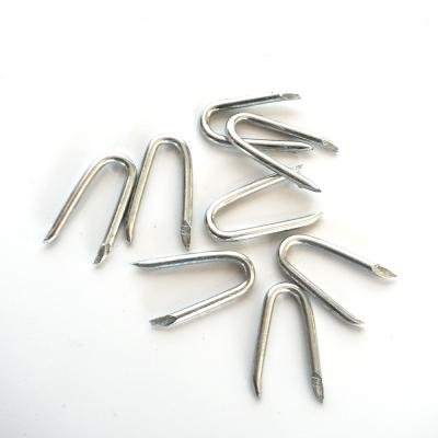 China High Quality Flat Type U Nails / Barrier Staples / U Shaped Nail for sale