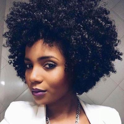 China High Quality Afro Hair 2022 Hot Sale Woman Wigs Afro Hair Can Be Ironed And Dyed Wigs For Black Women for sale