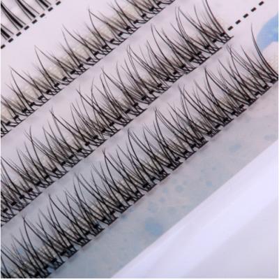 China Devil's Natural Fishtail Single Combo False Eyelashes for sale