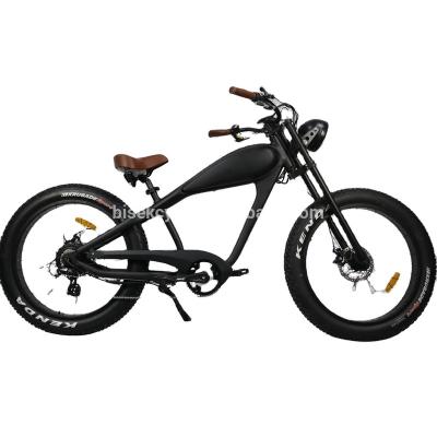 China Aluminum Alloy Hot Sale 1000W E-Bike Electric Bicycle for sale